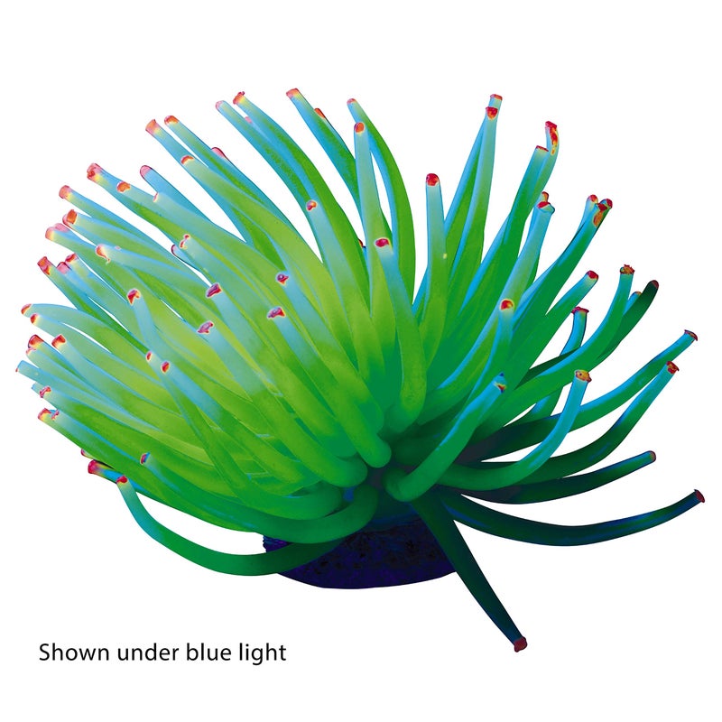 GloFish Anenome Ornaments, Fish Tank Decorations, Aquarium Decorations, Creates a Glowing Effect - Image 2
